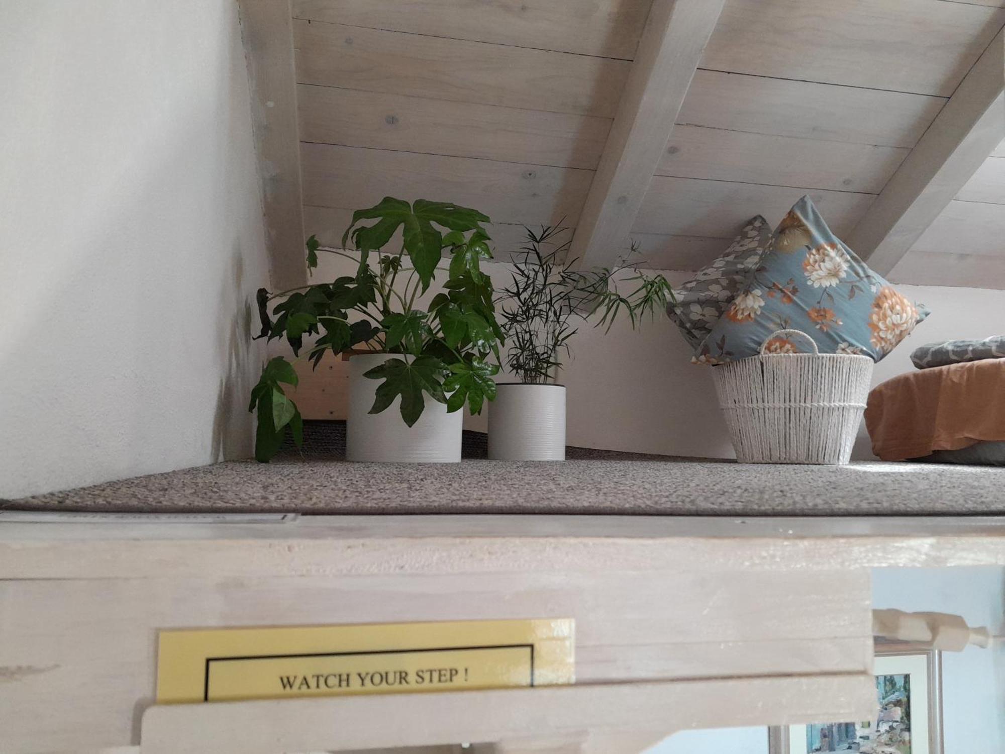 Sea Side House For Two In A Wilderness Hébergement de vacances Vis