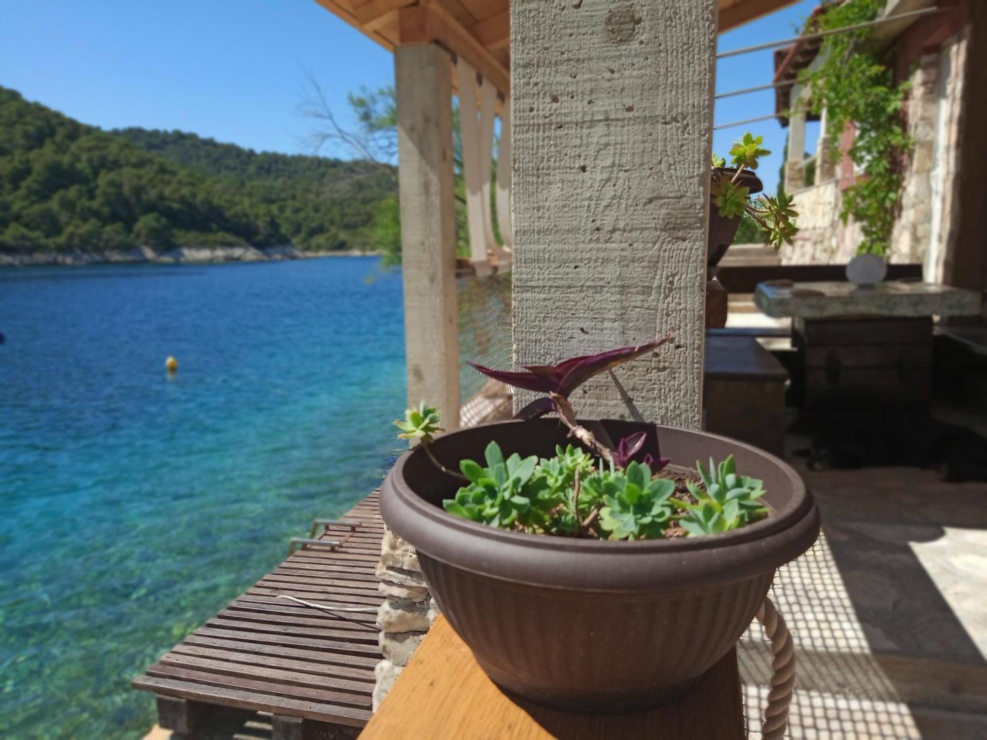 Vikendica Sea Side House For Two In A Wilderness Vis
